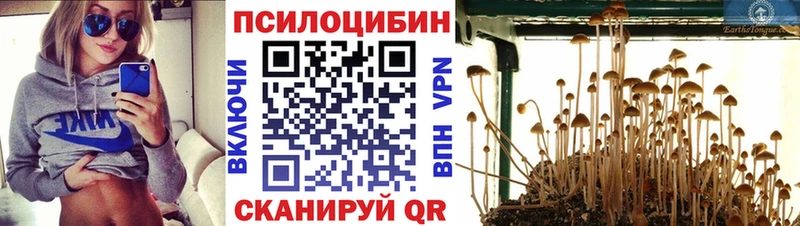 где купить наркотик  Зарайск  Псилоцибиновые грибы прущие грибы 